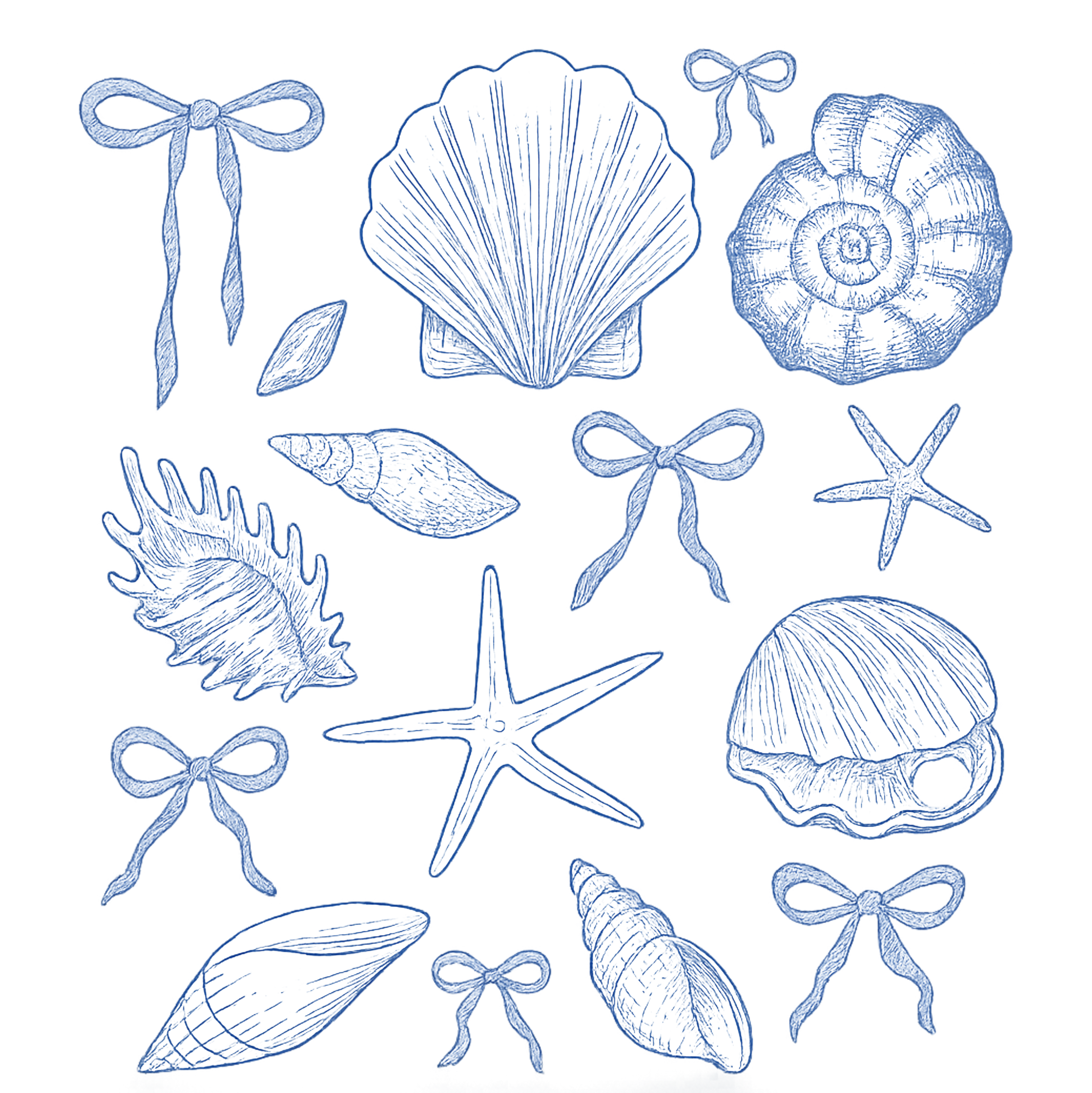 Coquette Seashell DTF Transfer